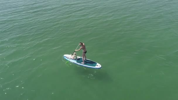 Petite fille dans un gilet de sauvetage assis sur la planche à pagaie avec mère — Video