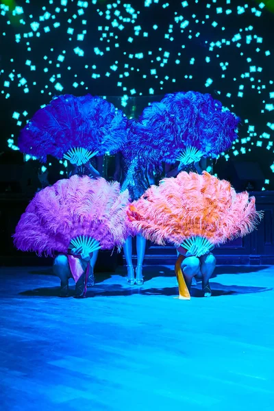 Cabaret dancer over dark background. The group of cabaret dancers. Faces hidden behind the feathers. — Stock Photo, Image