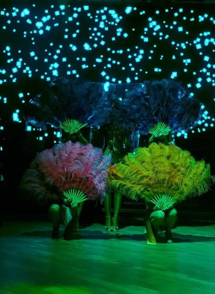 Cabaret dancer over dark background. The group of cabaret dancers. Faces hidden behind the feathers. — Stock Photo, Image