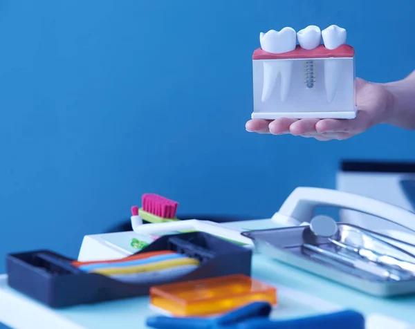 Hands of the dentist hold a breadboard model of the tooth with an implant — Stock Photo, Image