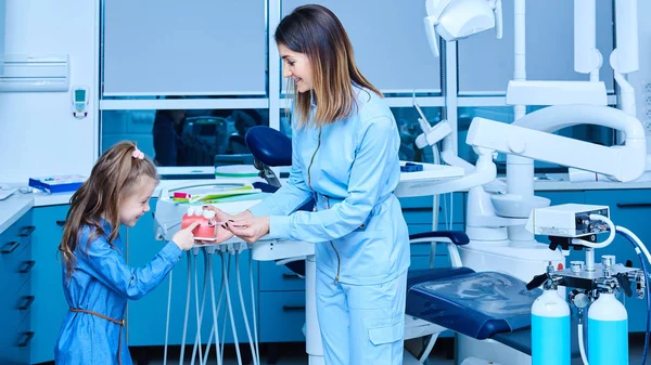 Pediatric dentist showing basic dental hygiene principles. Female pediatric dentist showing a treatment for adorable little girl in a hospital. Dentist and child in cabinet. Little girl in the — Stock Photo, Image