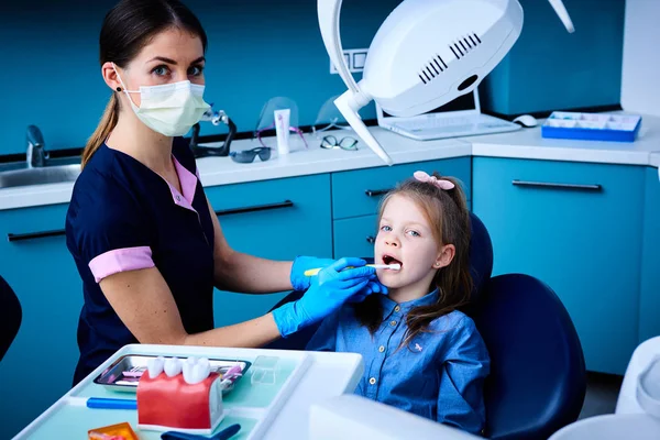 Jovem dentista trabalhando em seu escritório . — Fotografia de Stock