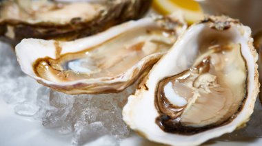 Limonlu taze istiridye. Sığ dof.