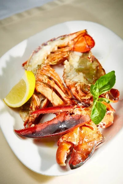 a luxury dish of lobster roasted and decorated with lemon and basil. Shallow dof