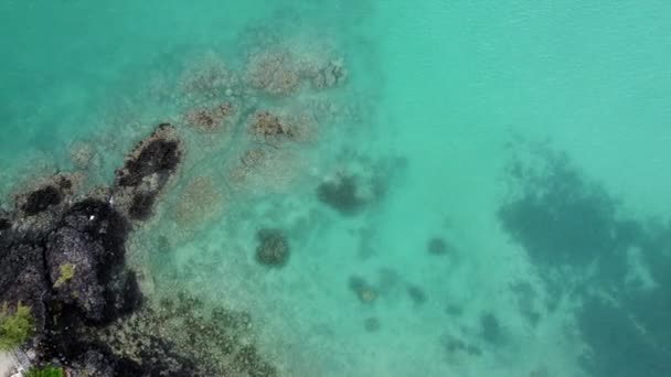 上升的空中顶部岩石海岸 游泳池面积和透明的绿色海洋 — 图库视频影像