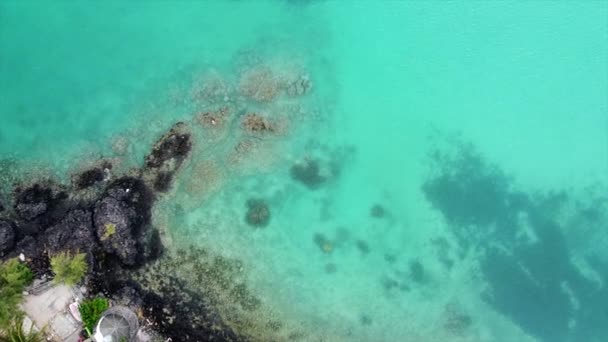 空中鸟用清澈的海水拍击岩石海岸 — 图库视频影像