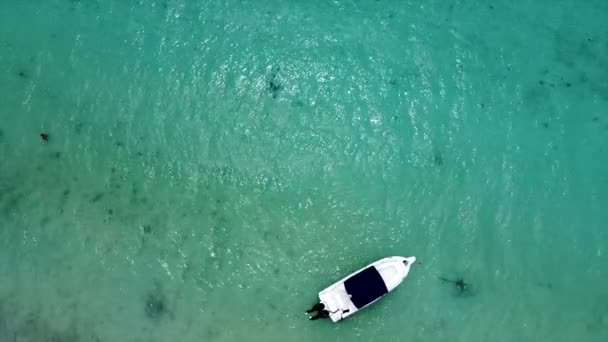 澄んだ海の表面に停泊豪華なスピードボートの空中鳥の目のショット — ストック動画