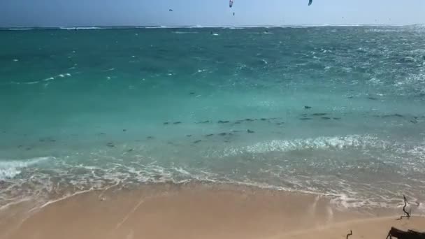 Low Angle Wave Hit Sandy Beach Kitesurfers Background — 비디오