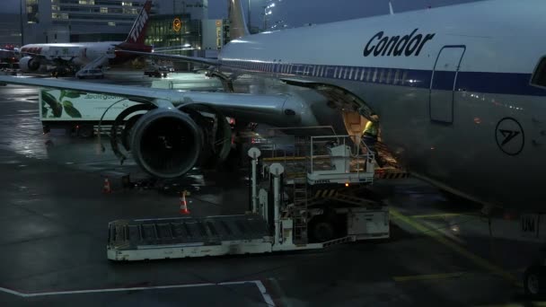 Luchthavenmedewerker Die Bagagedepot Incheckt Duits Condor Vliegtuig — Stockvideo