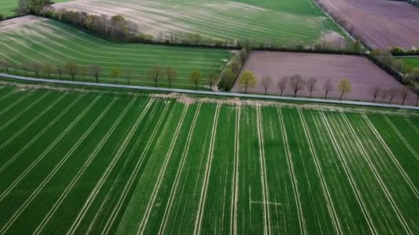 Vista Aerea Che Mostra Diversi Modelli Nei Campi Agricoli Agricoli — Video Stock