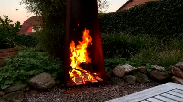 Ontspannen Vuur Buiten Tuin Barbecue Met Vrienden — Stockvideo