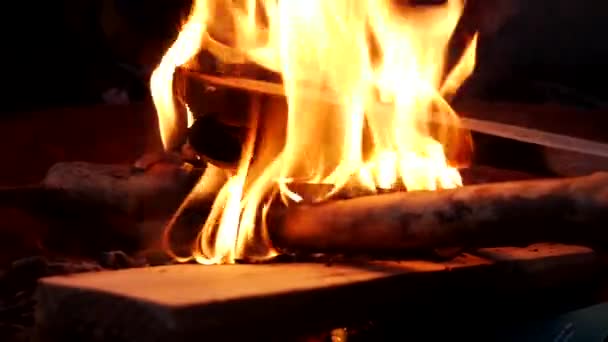 맥크로는 야외에서 모닥불 오르는 장면을 촬영했다 — 비디오