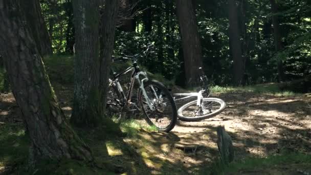 Colpo Statico Mountain Bike Nella Foresta Durante Pausa Nella Bella — Video Stock