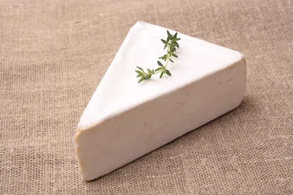 Brie cheese with oregano on a fabric background — Stock Photo, Image