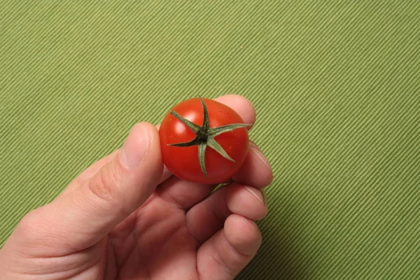 手でトマト — ストック写真