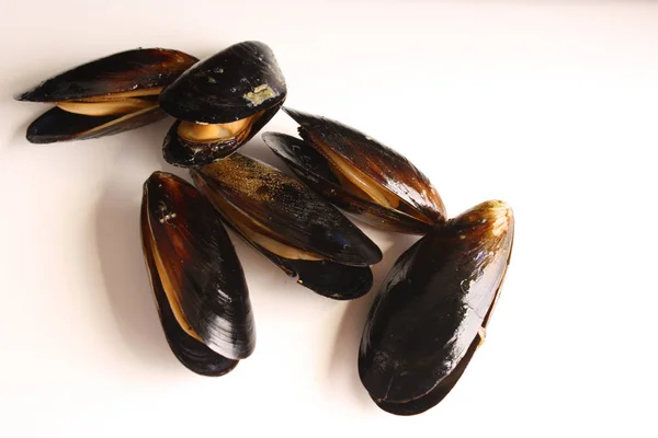 Mussels in shells on a black background — Stock Photo, Image