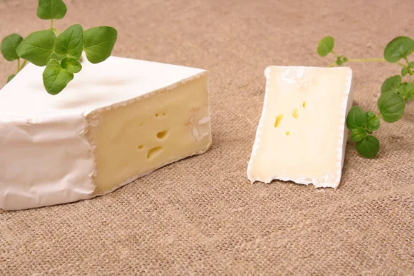 Pano de fundo tecido com pedaços de queijo macio — Fotografia de Stock