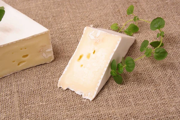 Pano de fundo tecido com pedaços de queijo macio — Fotografia de Stock