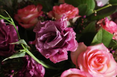 bud soyutlama arka plan çiçek gül