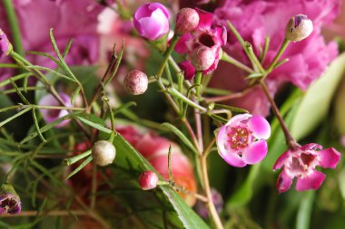 Gül buket arka plan soyutlama