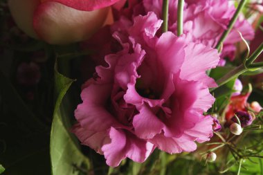 Gül buket arka plan soyutlama