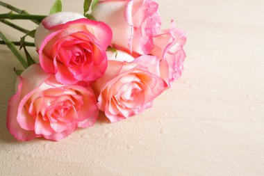 pembe Gül arka plan soyutlama