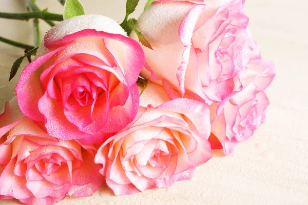 ピンクのバラは、抽象化を背景します。 — ストック写真