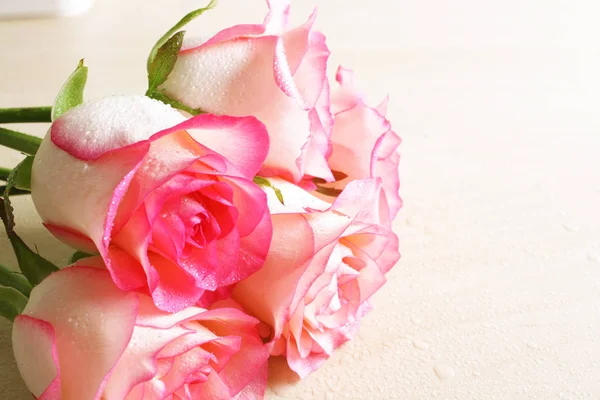 Pink roses background abstraction — Stock Photo, Image