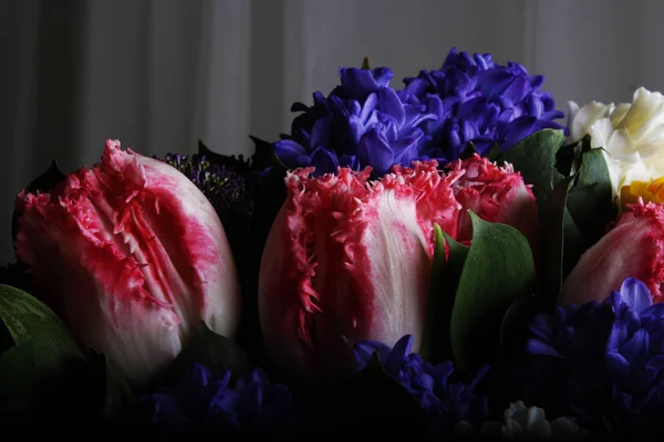 Bukett av hyacint rannunculus tulip bakgrund — Stockfoto