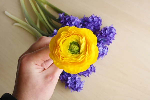 Ranunculus gula blommor bakgrund — Stockfoto