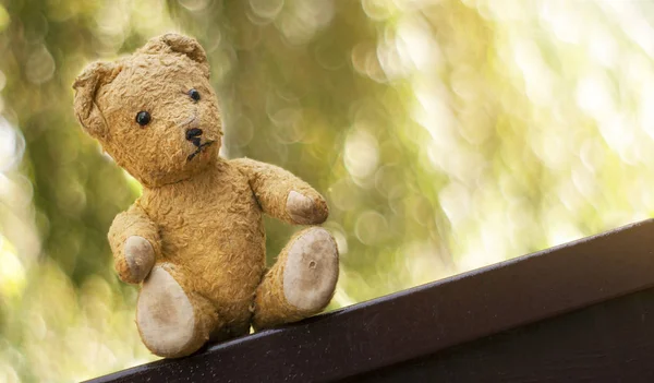 Urso de brinquedo - bandeira da infância — Fotografia de Stock