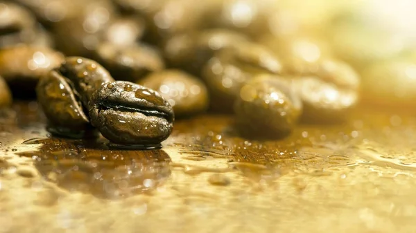 新鮮なコーヒー豆のバナー — ストック写真