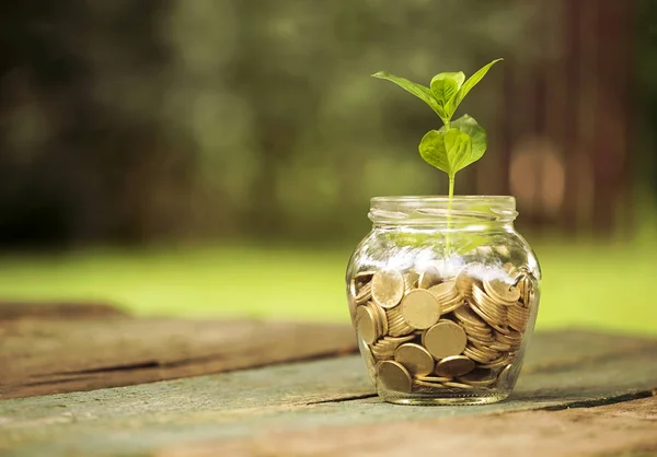 para kavramı kaydetmek