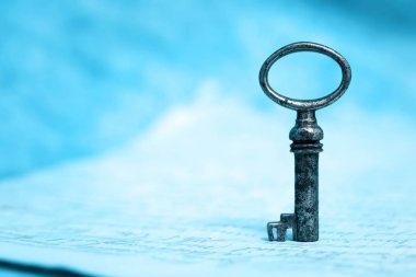 Yaşam koçu kavramı mavi