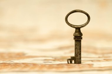 Mor bahar çiçekleri