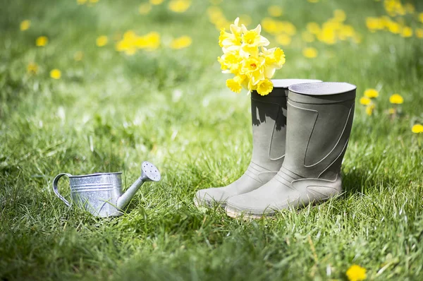 Zomer tuinieren Concept — Stockfoto