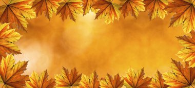 sonbahar sonbahar arka plan