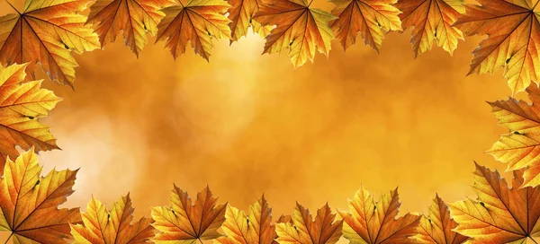 sonbahar sonbahar arka plan