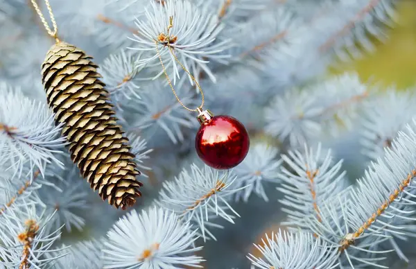 Arbre de Noël et décorations — Photo