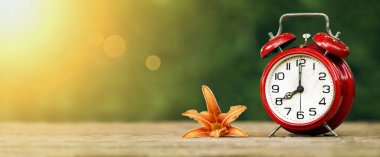 Gün ışığı tasarruf kavramı