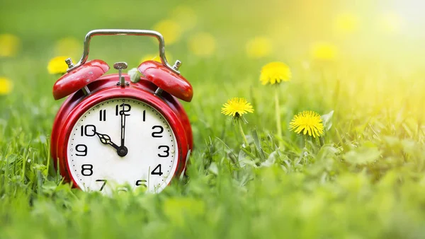 Summertime banner -  alarm clock and dandelion flowers — Stock Photo, Image
