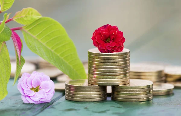 Renewable green business concept, gold money coins, with flowers and leaf