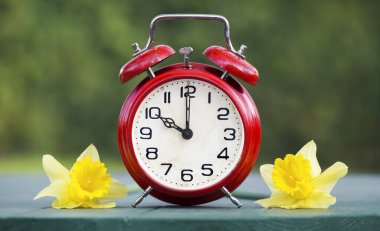 Kırmızı alarmlı saat ve nergis çiçekleri, bahar ileri, ilkbahar, paskalya konsepti