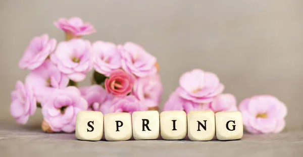 Квітковий Веб Банер Рожеві Квіти Сірому Фоні Текстом Весна Вперед — стокове фото