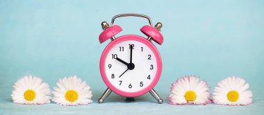 Yaz zamanı konsepti, pembe alarm saati ve mavi arka planda beyaz papatya çiçekleri. Web pankartı.