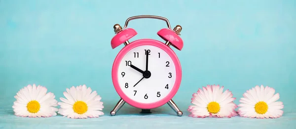 Concepto Horario Verano Despertador Rosa Flores Margarita Blanca Sobre Fondo —  Fotos de Stock