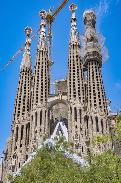 Sagrada Familia บาร์เซโลนา — ภาพถ่ายสต็อก