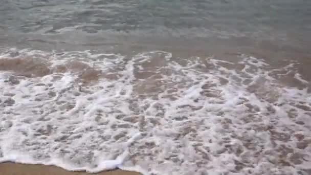 Die Wellen an der Küste — Stockvideo
