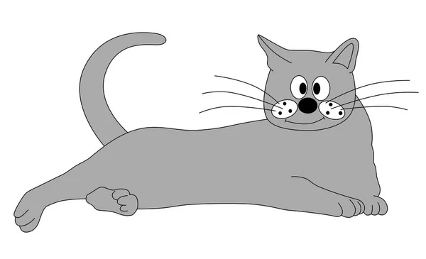 有趣好玩的灰猫 — 图库照片