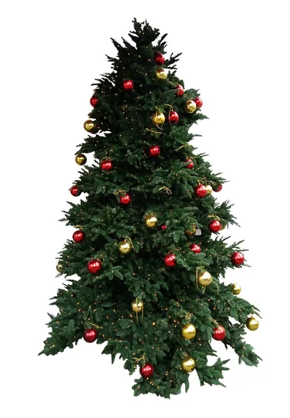 Christmas tree isolated — Stock Photo, Image